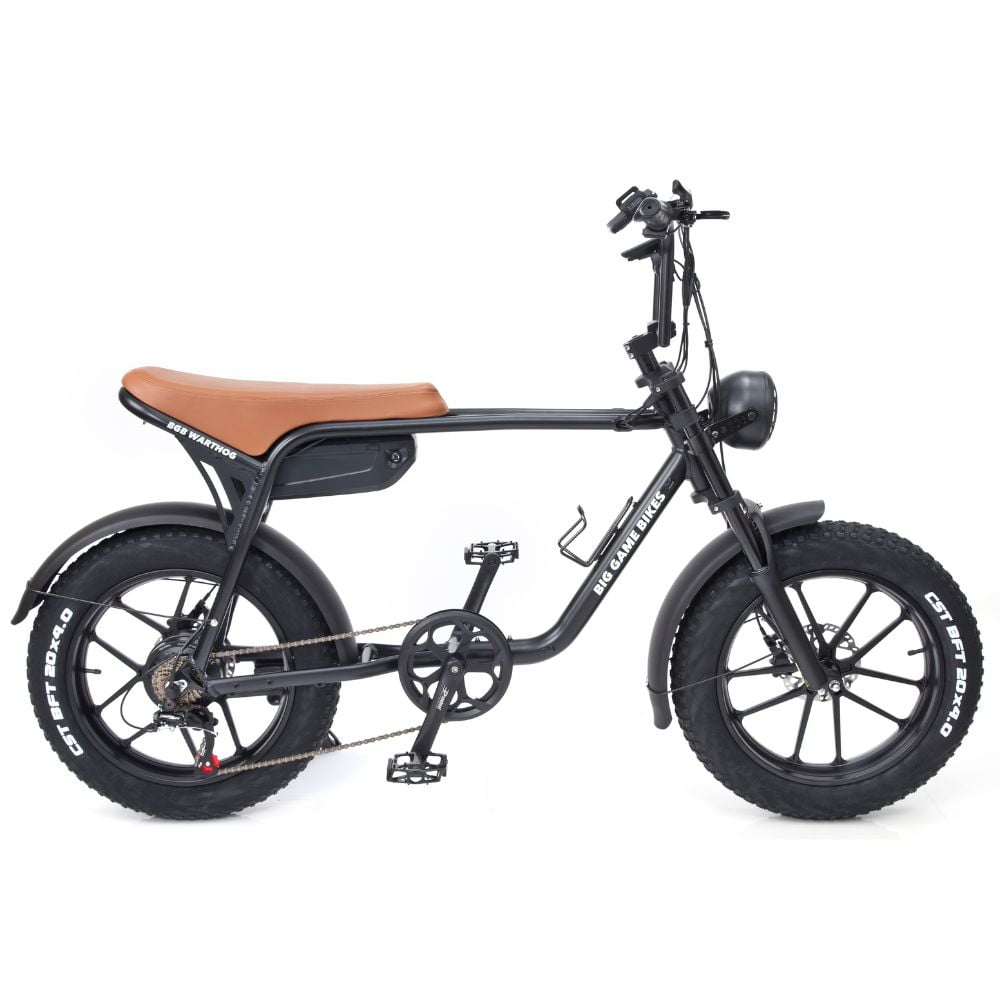 electric bicycle 250w Warthog 250w Cruiser eBike