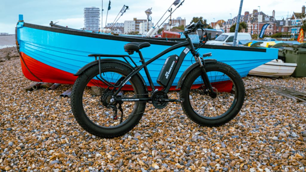 Buffalo 250w Mountain eBike