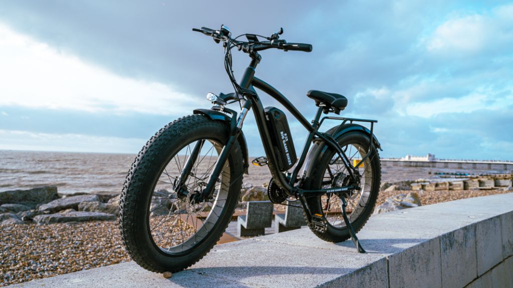 Buffalo 250w Mountain eBike