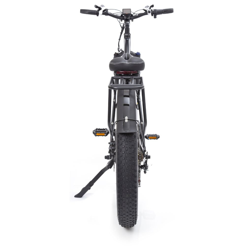 Buffalo 750w Mountain eBike
