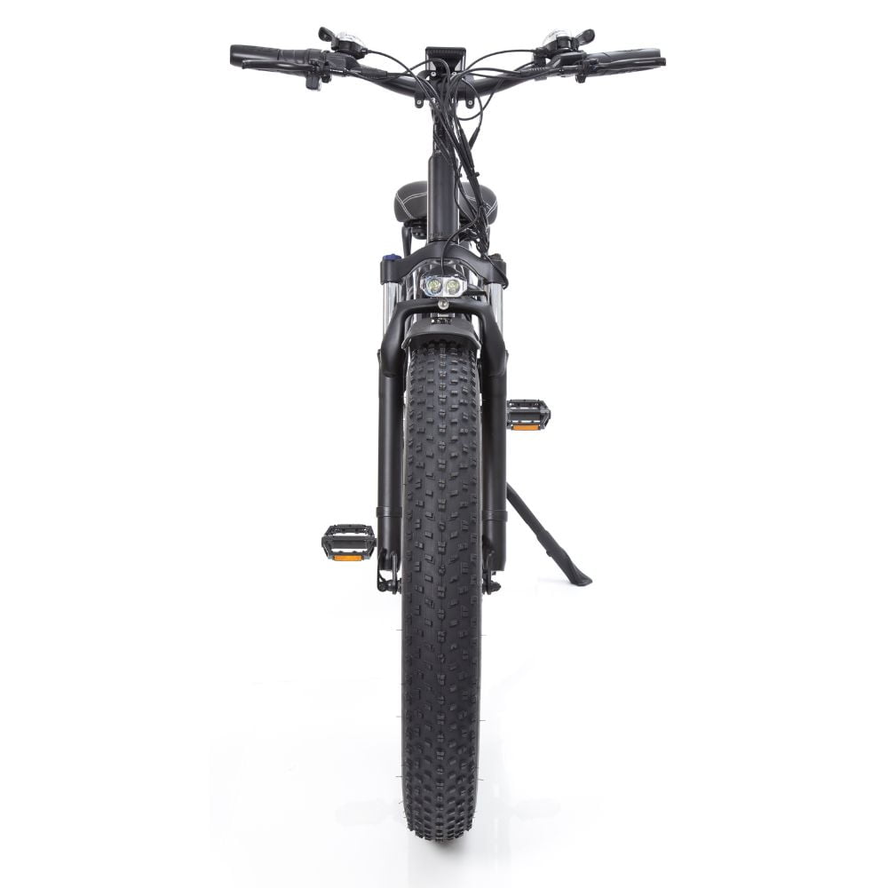 Buffalo 750w Mountain eBike
