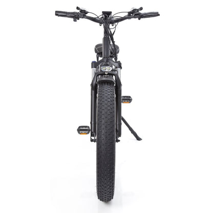 Buffalo 750w Mountain eBike