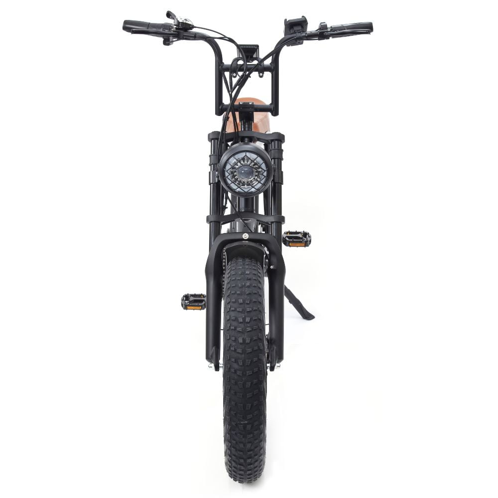 bgb electric bicycle Warthog 250w Cruiser eBike