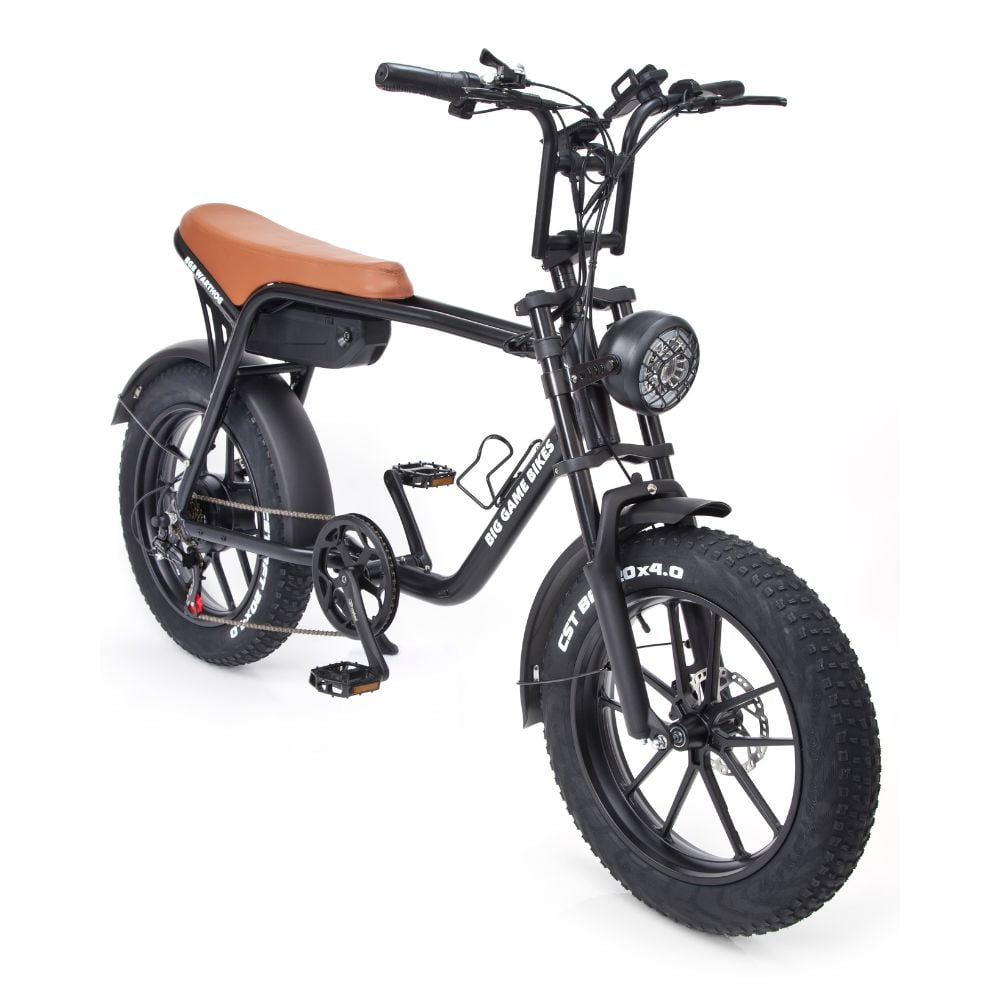 bgb electric bicycle Warthog 250w Cruiser eBike