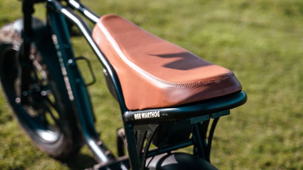 Warthog 750w Cruiser eBike