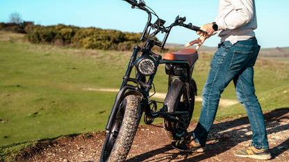 Warthog 750w Cruiser eBike
