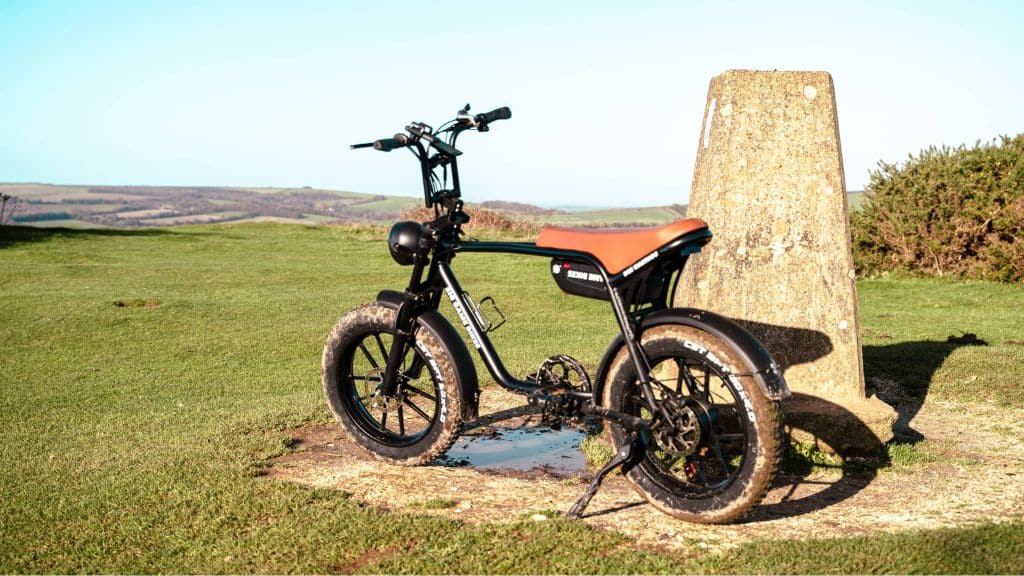 Warthog 750w Cruiser eBike