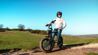 Warthog 750w Cruiser eBike