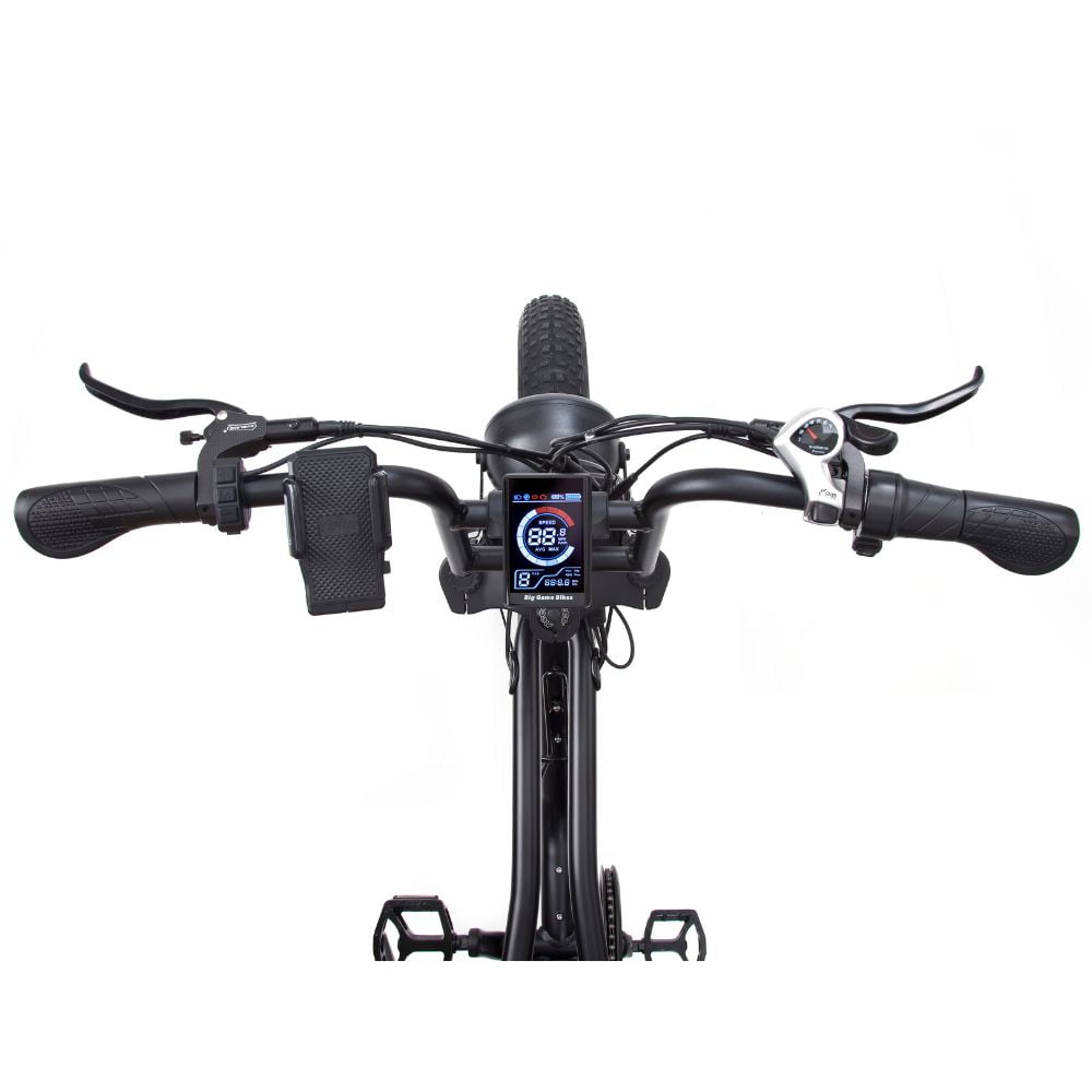 Warthog 750w Cruiser eBike