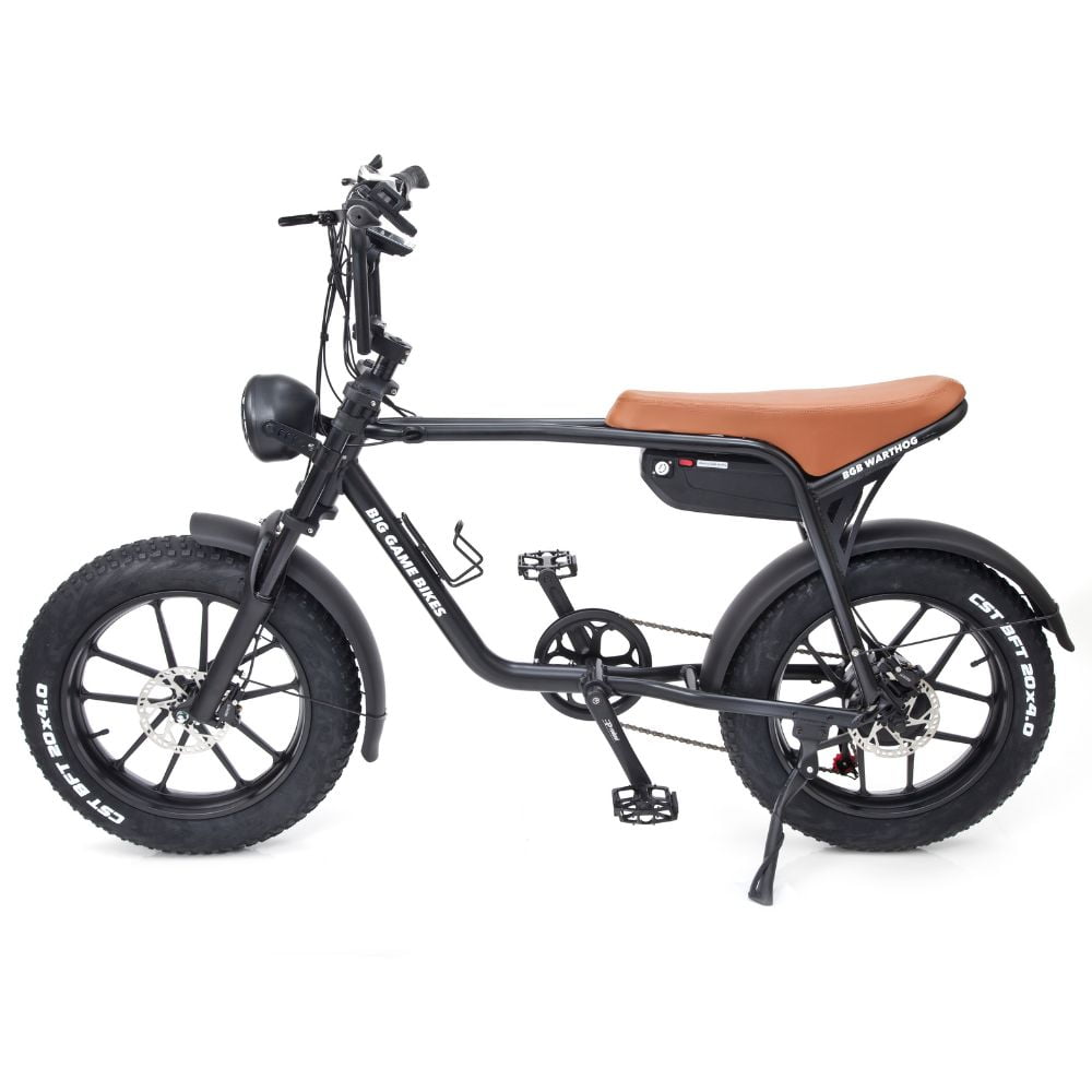 Warthog 750w Cruiser eBike