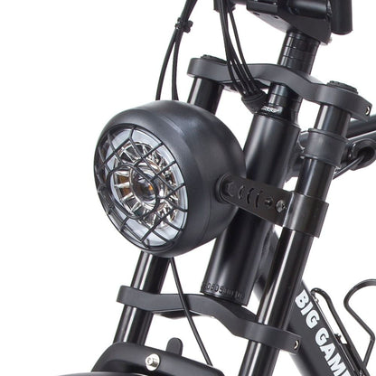 Warthog 750w Cruiser eBike