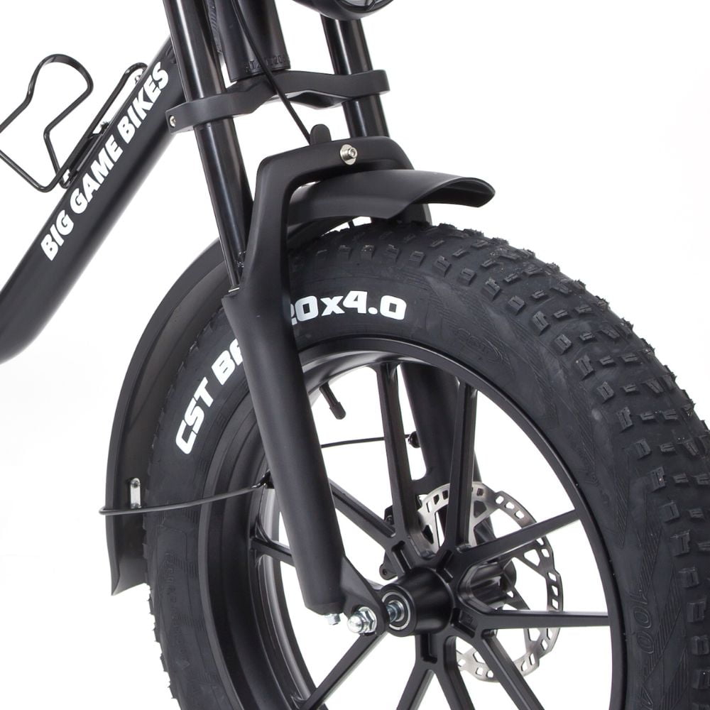 Warthog 750w Cruiser eBike