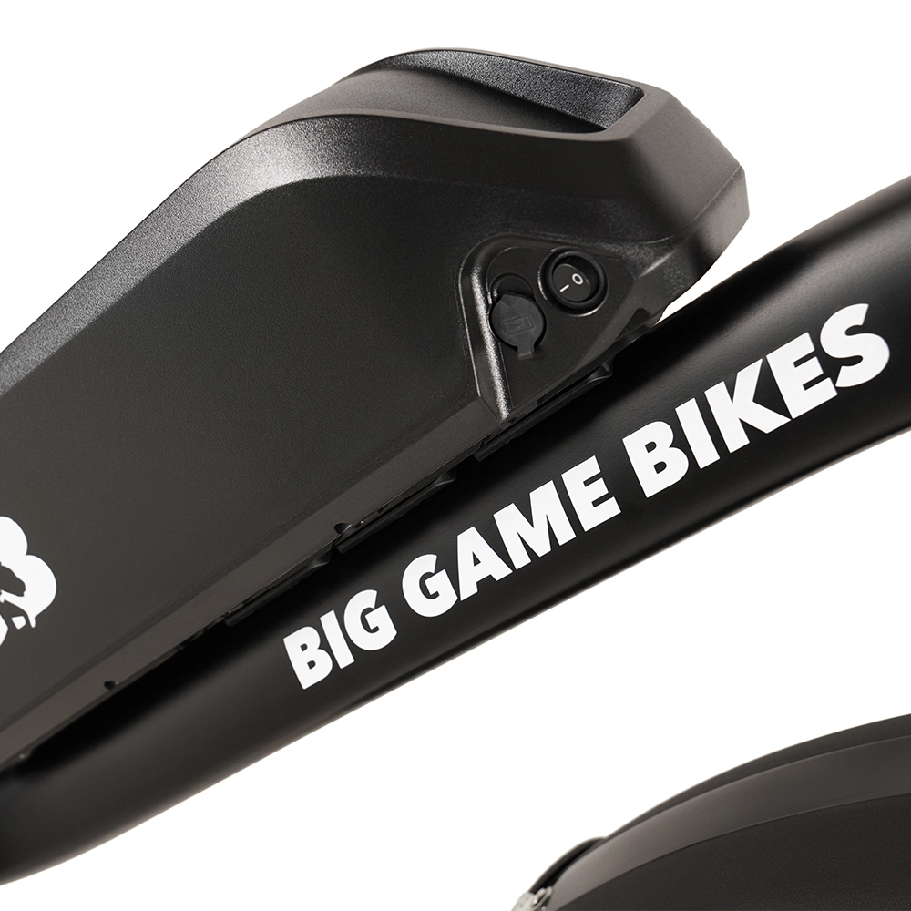 Buffalo 750w Mountain eBike