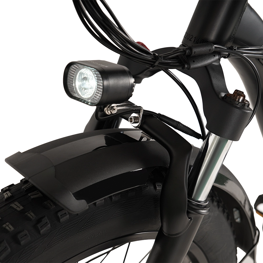 Buffalo 750w Mountain eBike