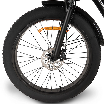 Buffalo 750w Mountain eBike