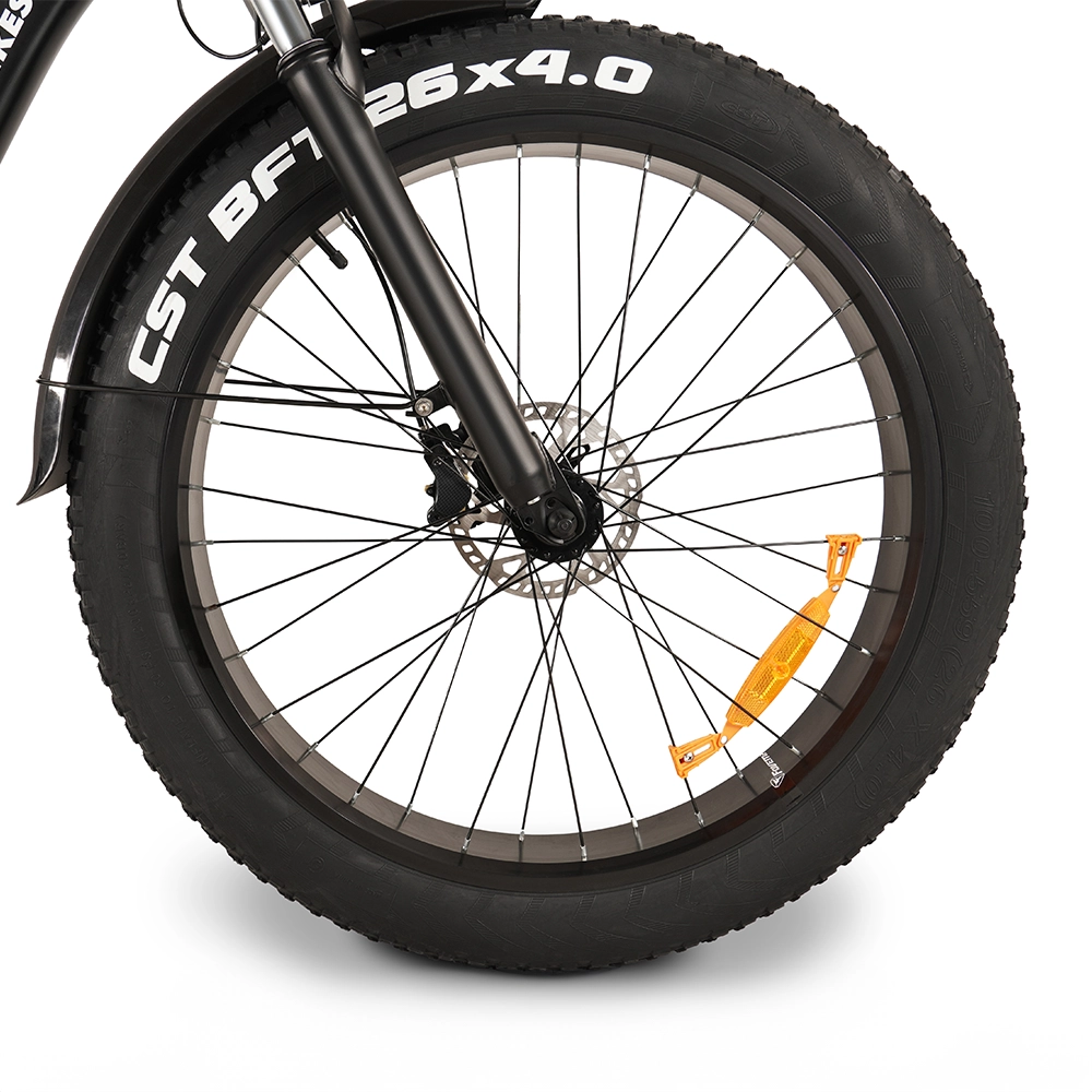 Buffalo 750w Mountain eBike