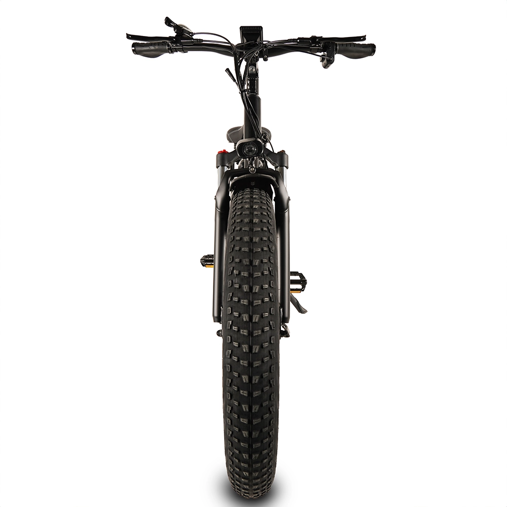 buffalo fahrrad kaufen Buffalo 250w Mountain eBike