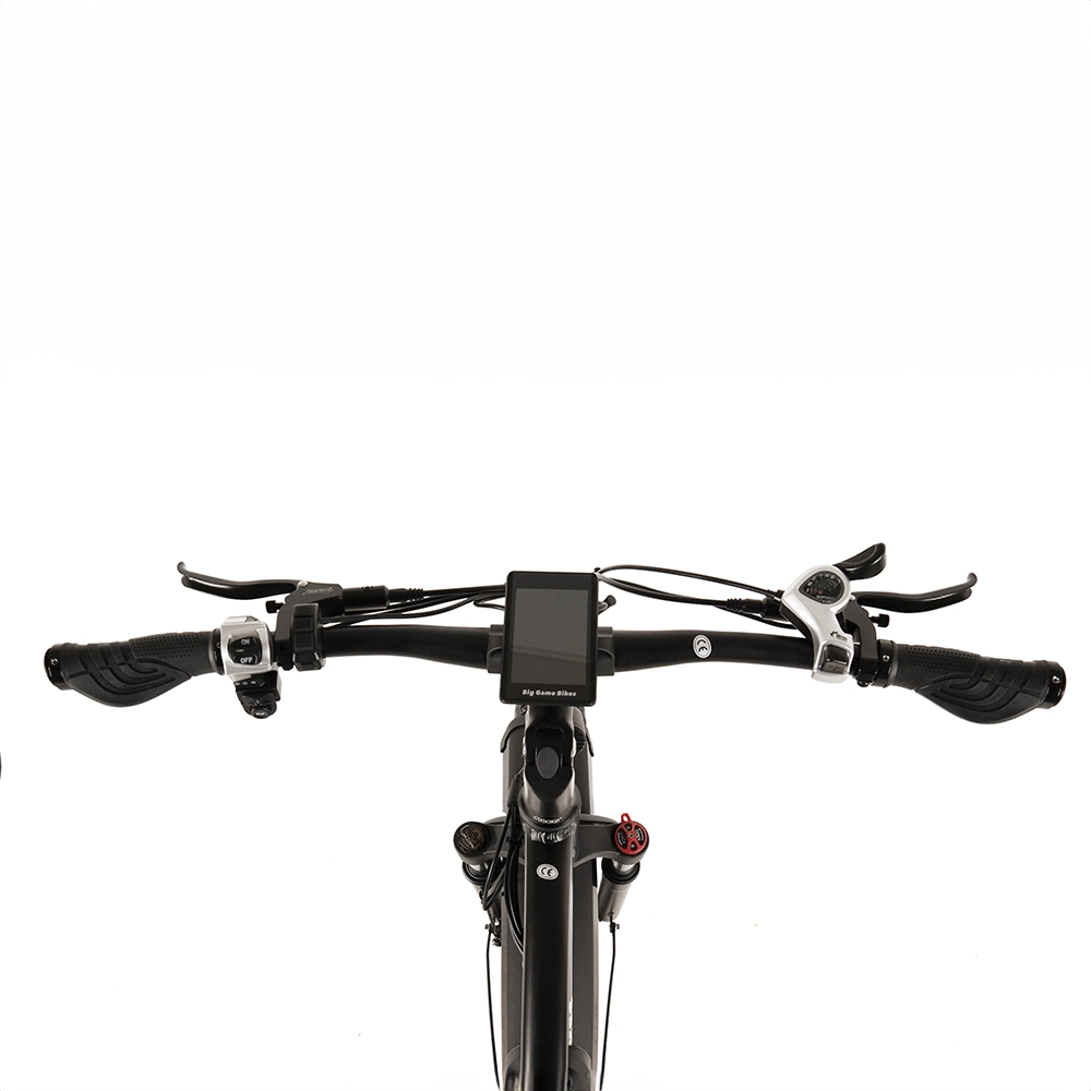 buffalo mountainbike Buffalo 250w Mountain eBike