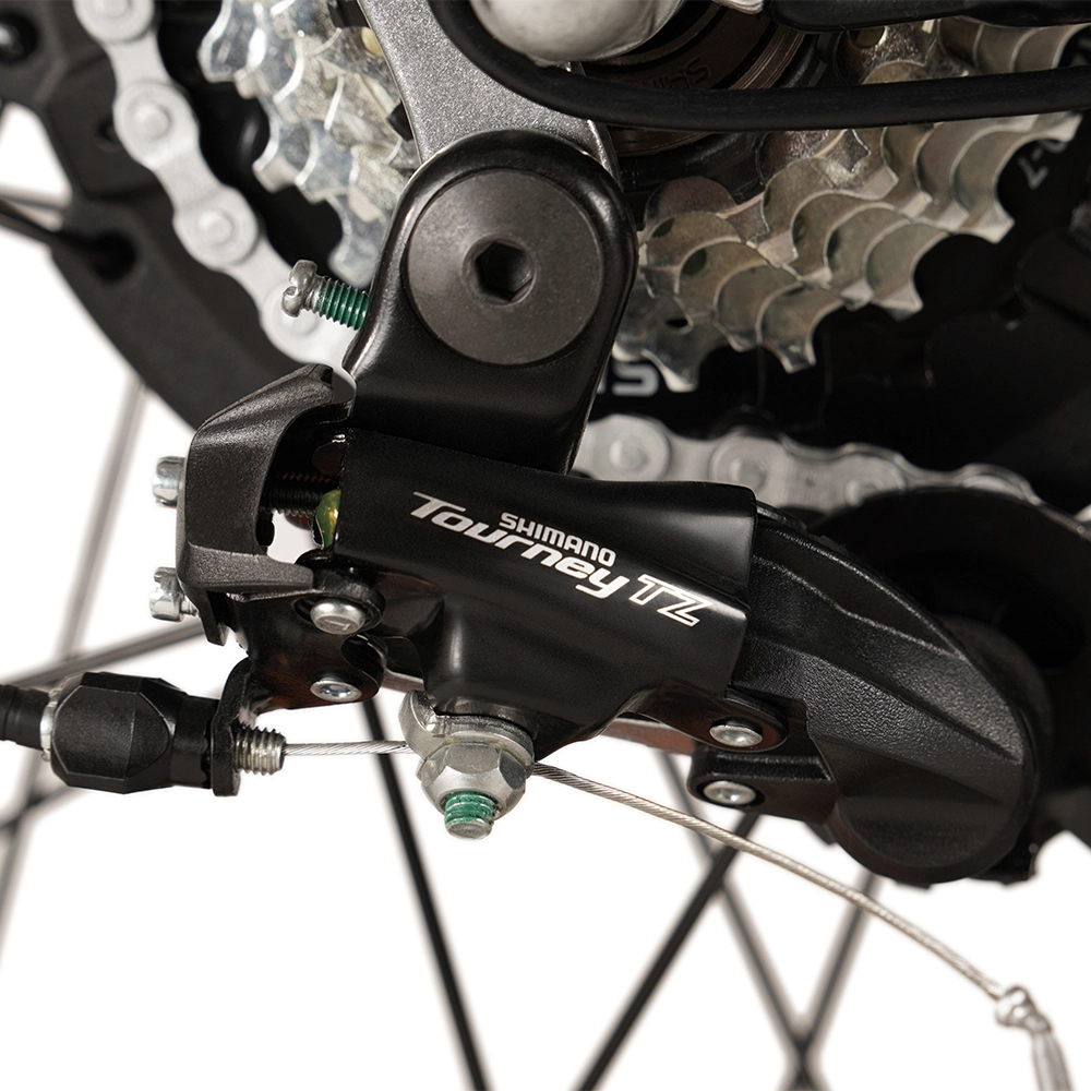 Buffalo 750w Mountain eBike