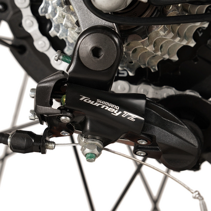 Buffalo 750w Mountain eBike