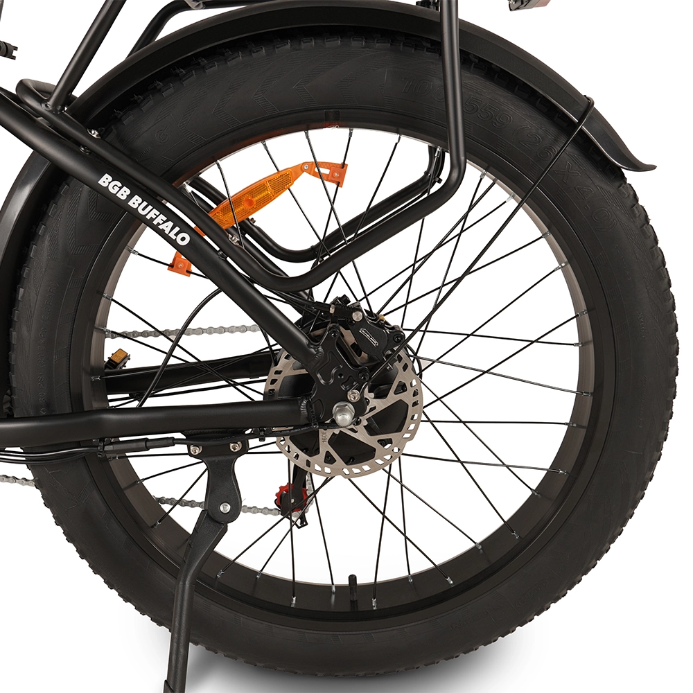 Buffalo 750w Mountain eBike