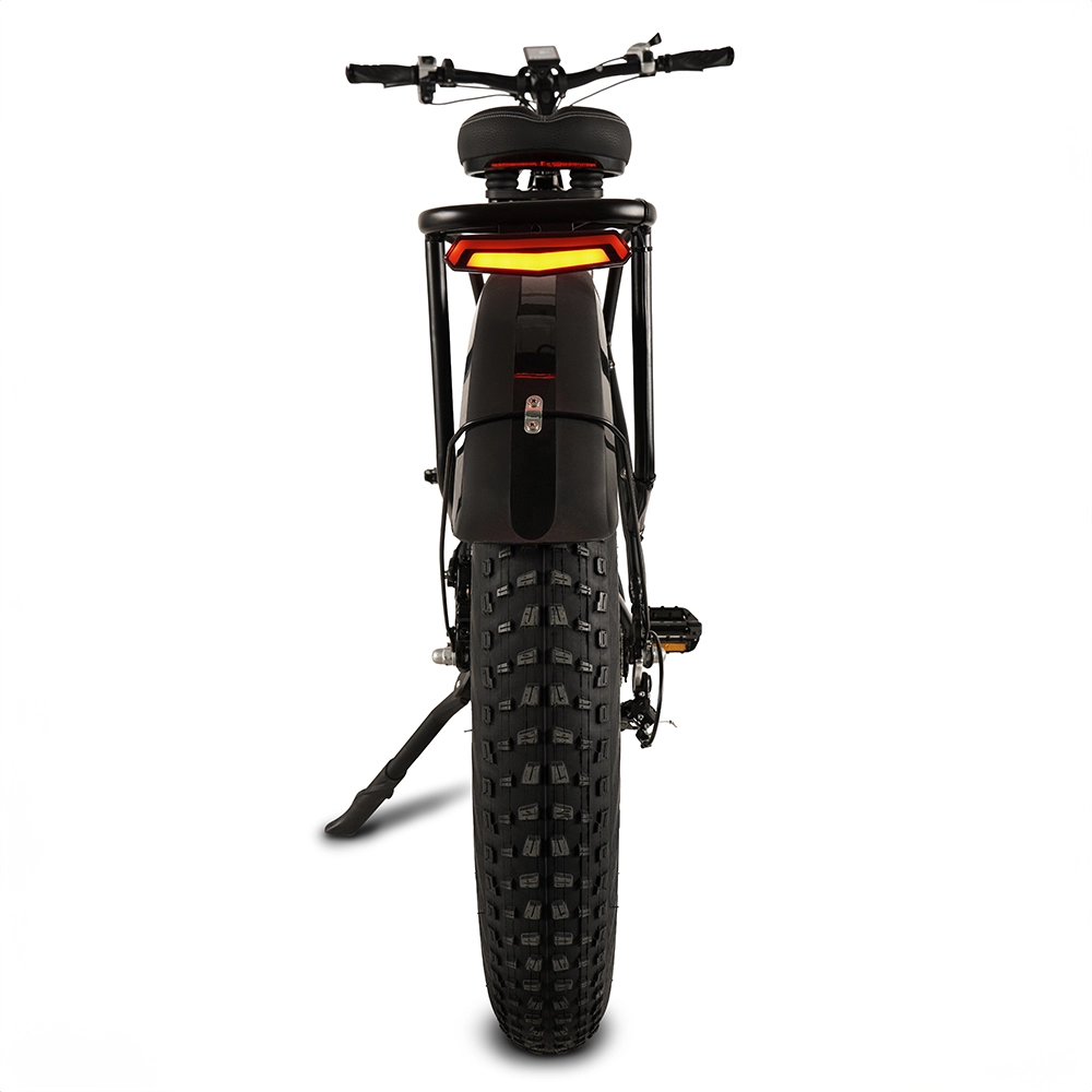 Buffalo 250w Mountain eBike