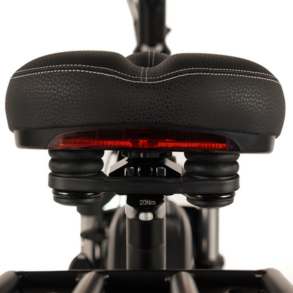 Buffalo 750w Mountain eBike