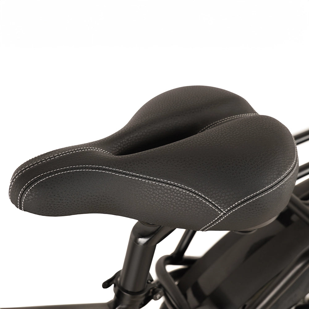 Buffalo 750w Mountain eBike