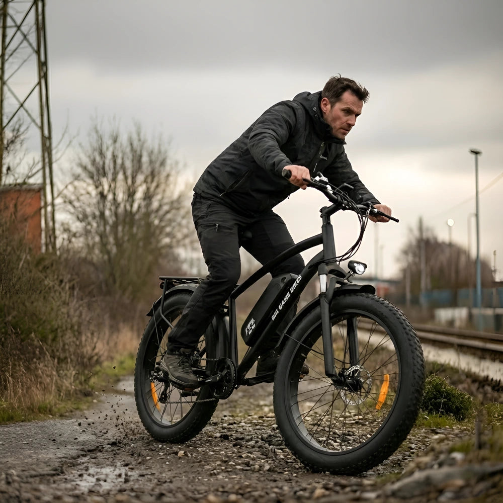 Buffalo 250w Mountain eBike