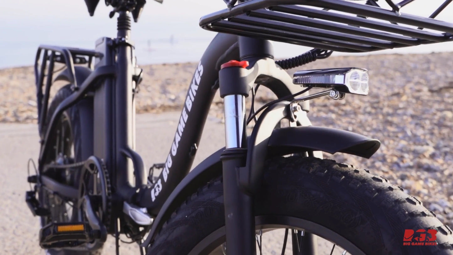 Impala 250w Folding eBike