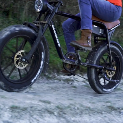 Warthog 750w Cruiser eBike