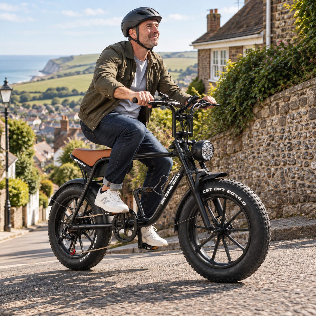 Warthog 250w Cruiser eBike