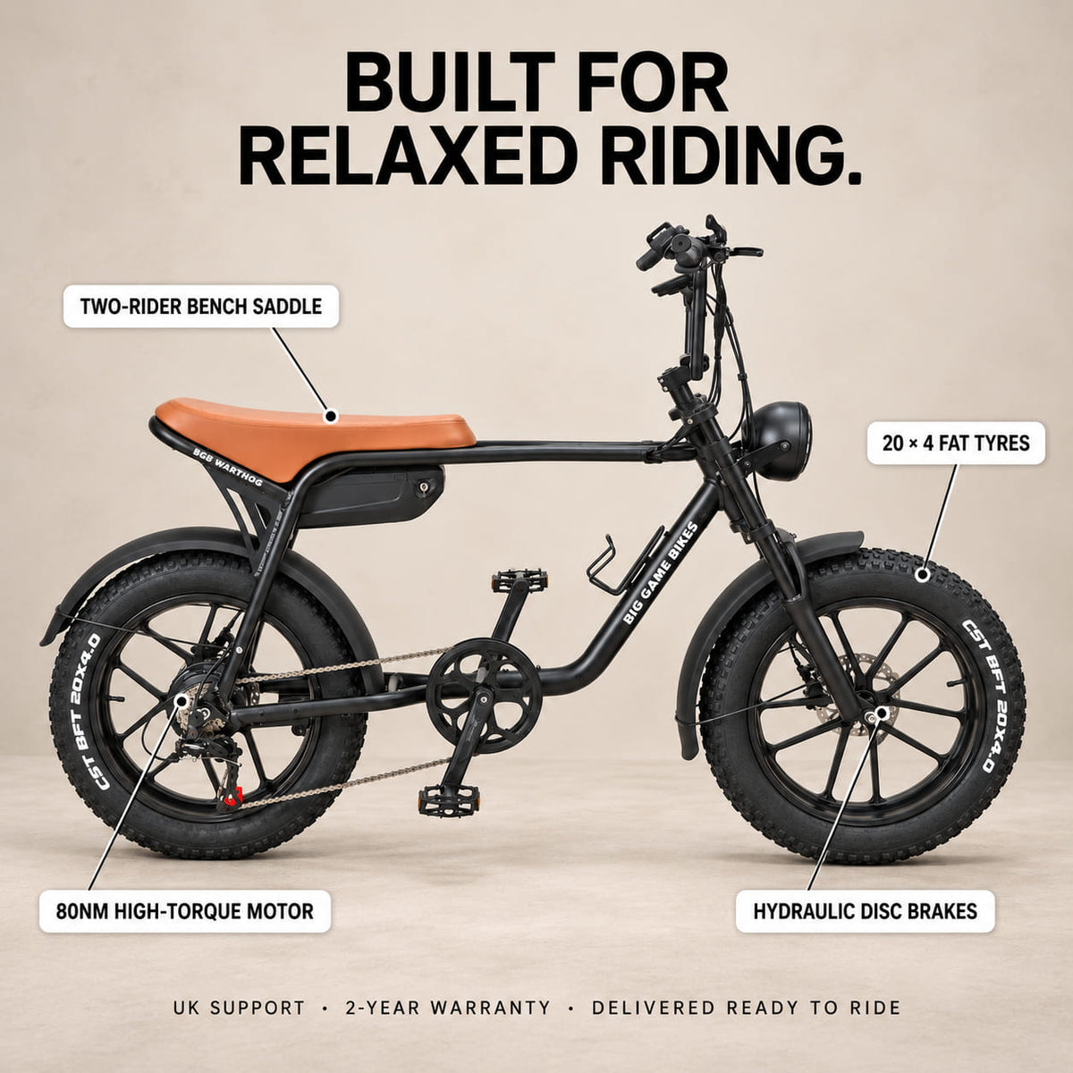 Warthog 250w Cruiser eBike