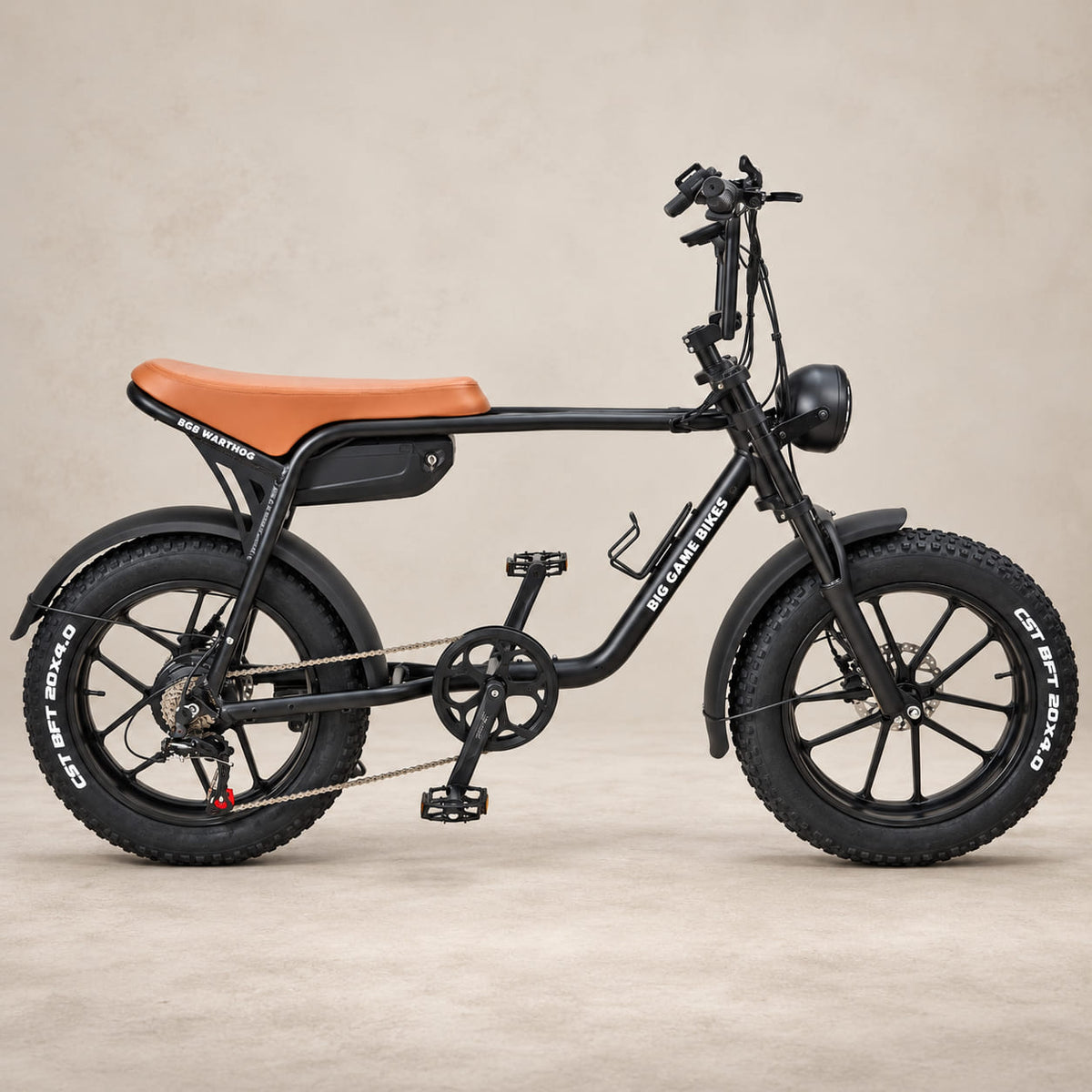Warthog 250w Cruiser eBike