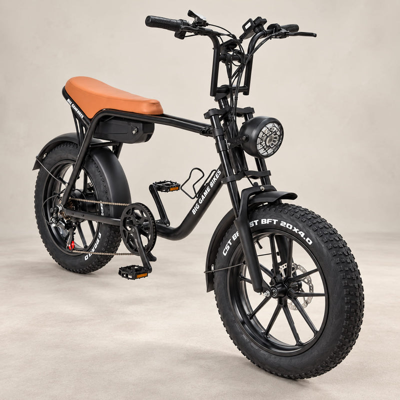 Warthog 250w Cruiser eBike