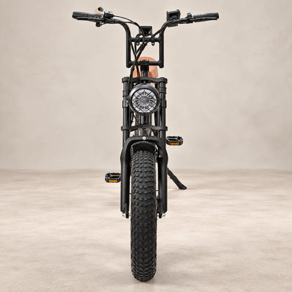 Warthog 250w Cruiser eBike