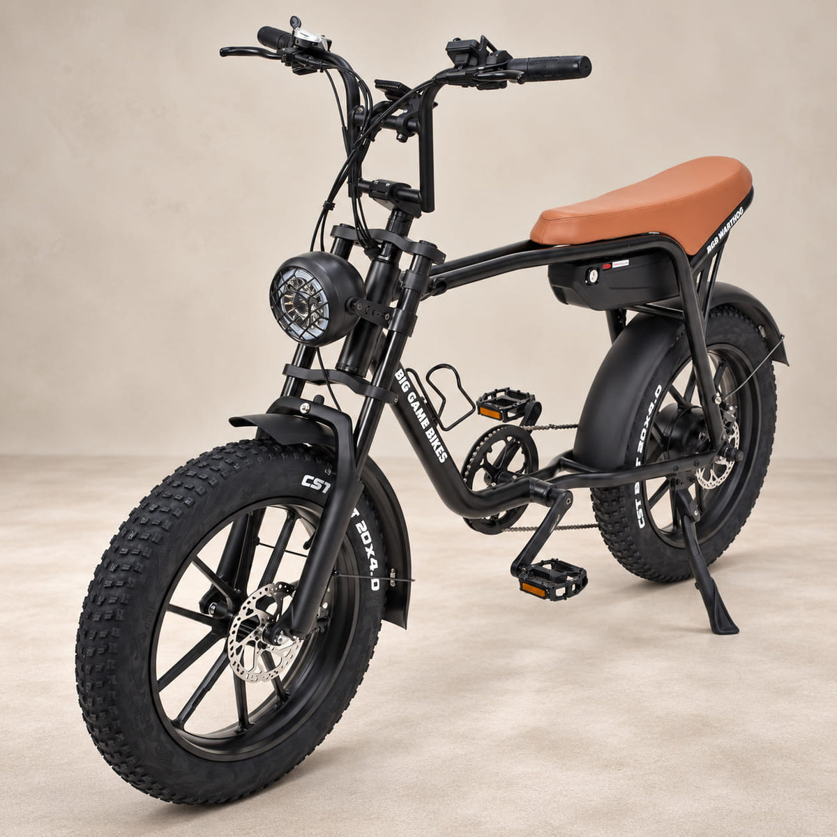 Warthog 250w Cruiser eBike