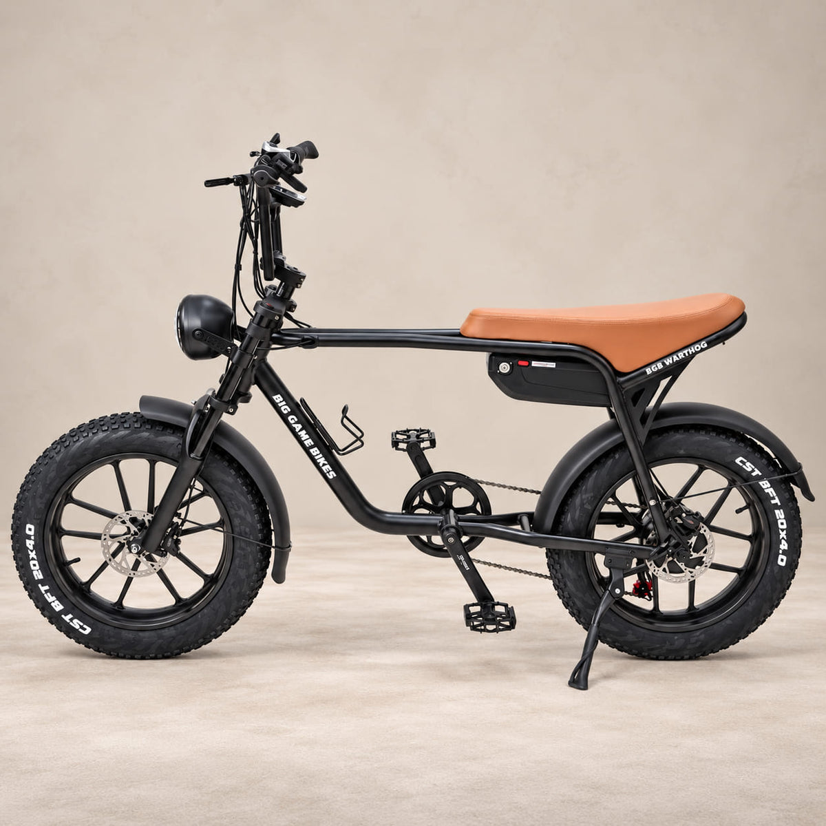 Warthog 250w Cruiser eBike