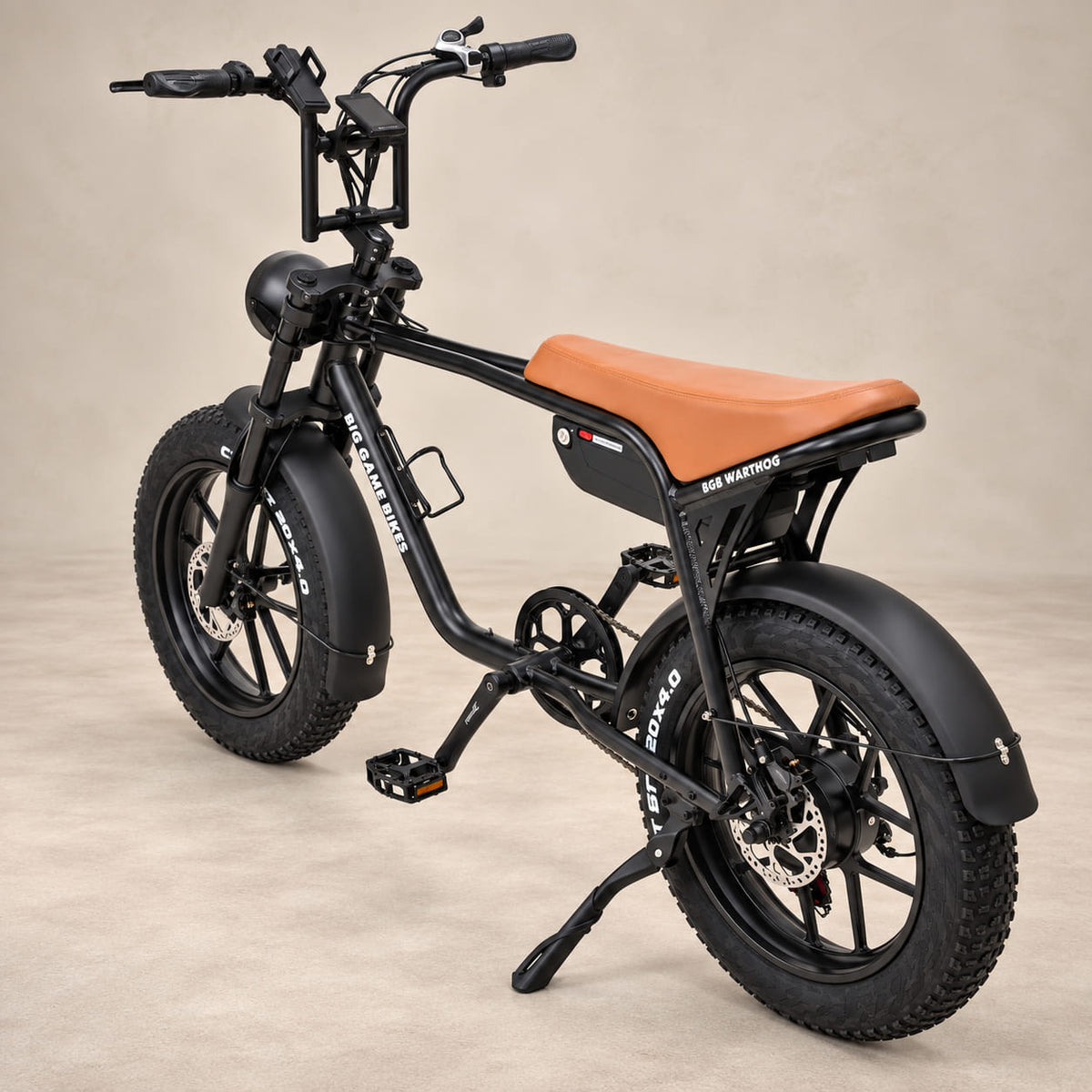 Warthog 250w Cruiser eBike