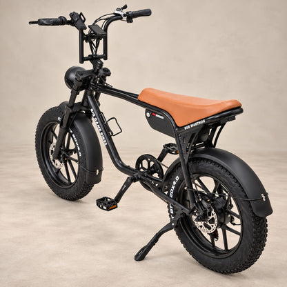 Warthog 250w Cruiser eBike
