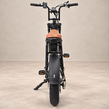 Warthog 250w Cruiser eBike